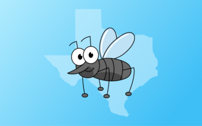 Are genetically engineered mosquitoes coming to Texas?