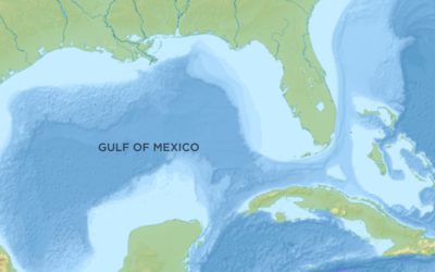 Don’t turn the Gulf into a sacrifice zone, environmental groups tell Biden