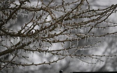 Winter Storm Wreaks Havoc Across Texas